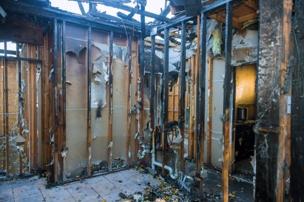 Professional Fire Damage Removal technician working in Jerome, IL